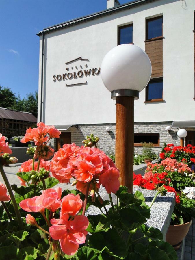 Willa Sokolowka Polanica-Zdrój Eksteriør billede